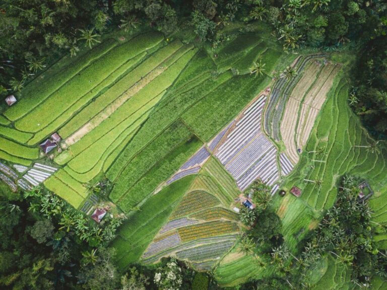 Patchwork of green fields photographed from above