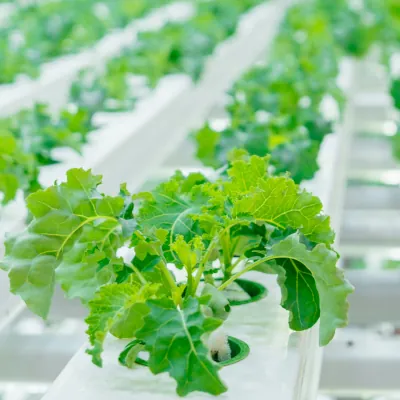 Reports & Publications