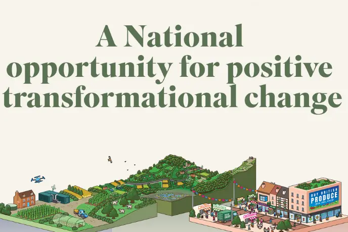 Roadmap for resilience