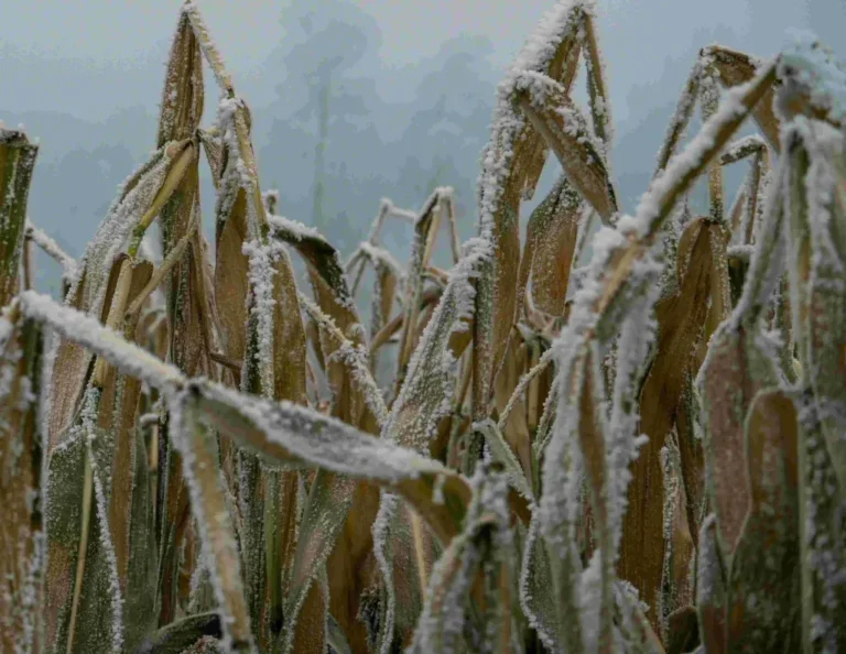 February 2026 newsletter